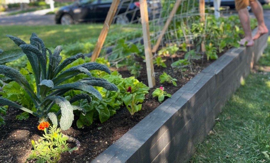 DIY Raised Garden Bed Ideas (+ Here’s How We Built Ours!)