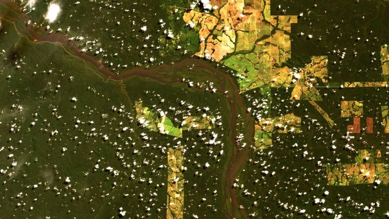 Deforestation Is Reducing Rainfall in the Amazon