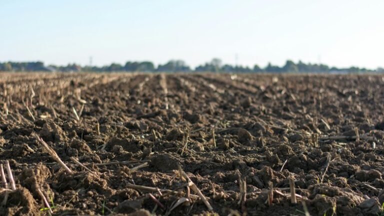 Simplicity May Be the Key to Understanding Soil Moisture