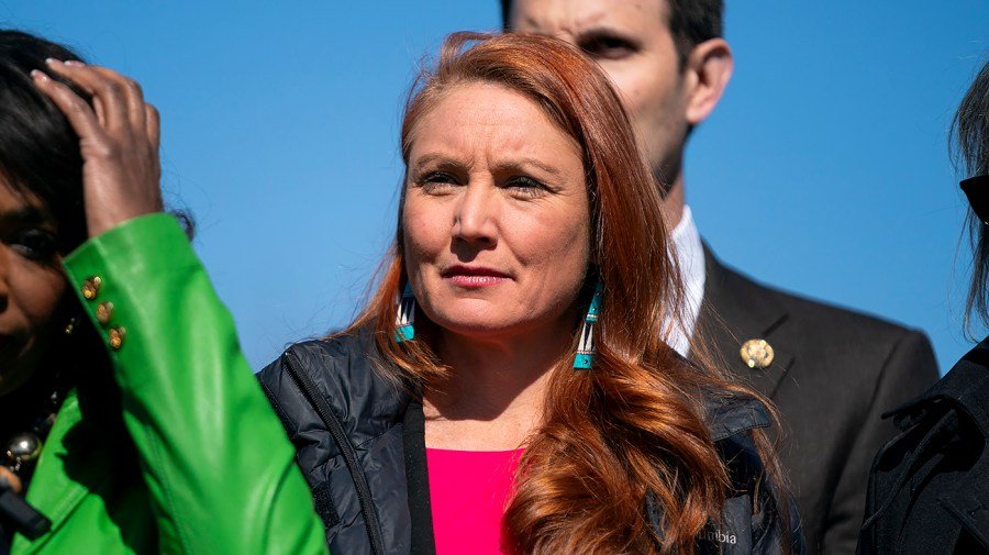 House Democrat: It'll take 'many years' to 'rebuild' from Musk 'destruction'