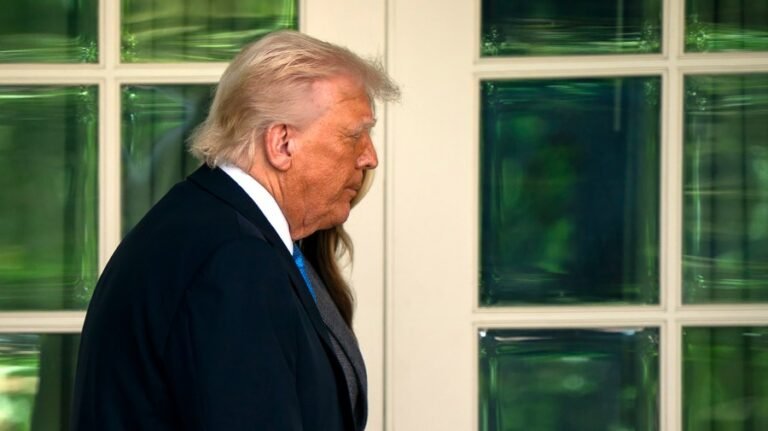 Trump's approval rating rebounds in DDHQ/The Hill polling average