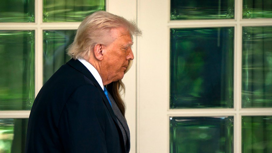 Trump's approval rating rebounds in DDHQ/The Hill polling average