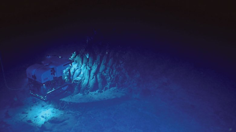 Submerged in Science