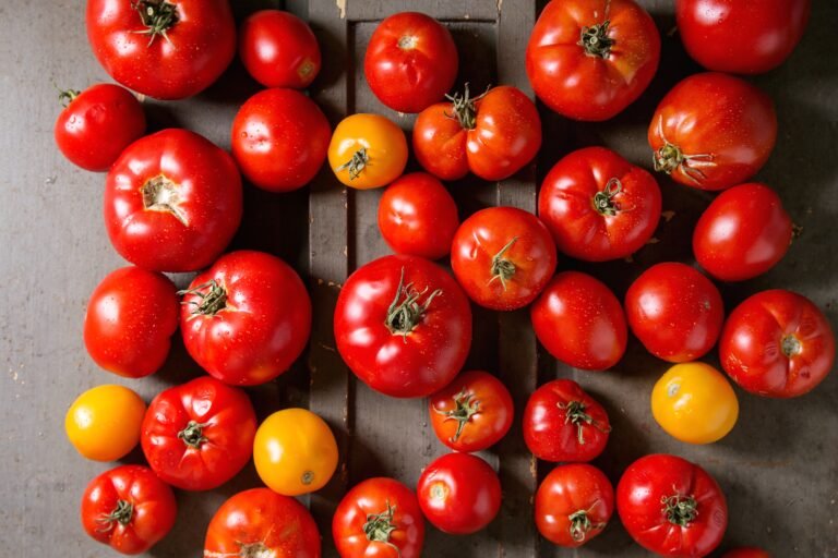 The Best Summer Tomato Recipes, According to Eater Editors