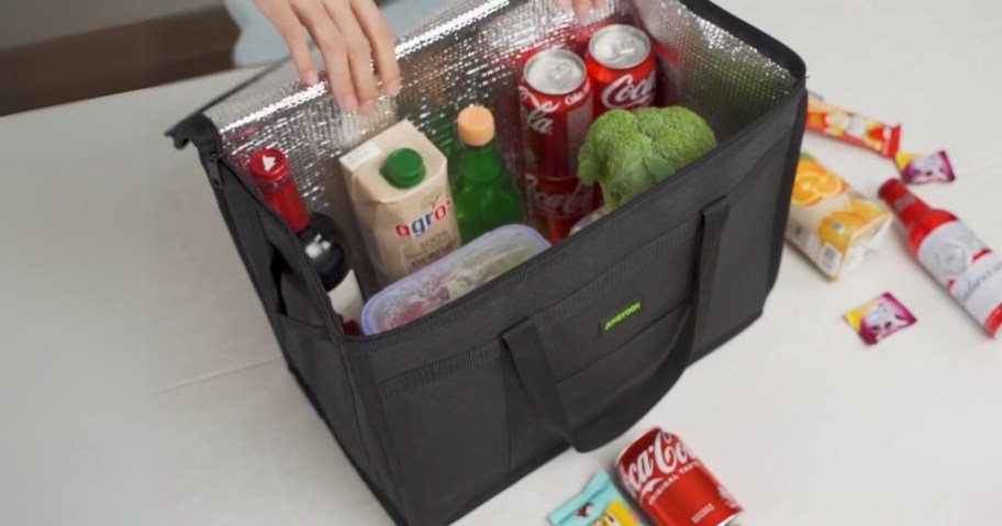 Insulated Shopper Bags Only $8.99 on Amazon (Reg. $18)