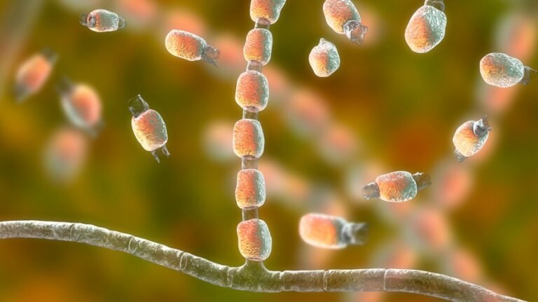 California scientists sound alarm on role of pesticides in raising resistance to antifungal drugs