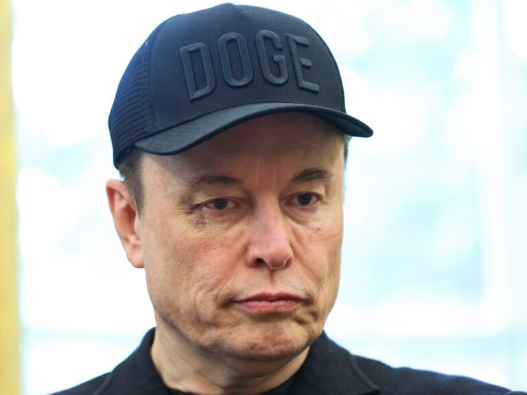 Elon Musk said DOGE 'became the whipping boy' for all government problems