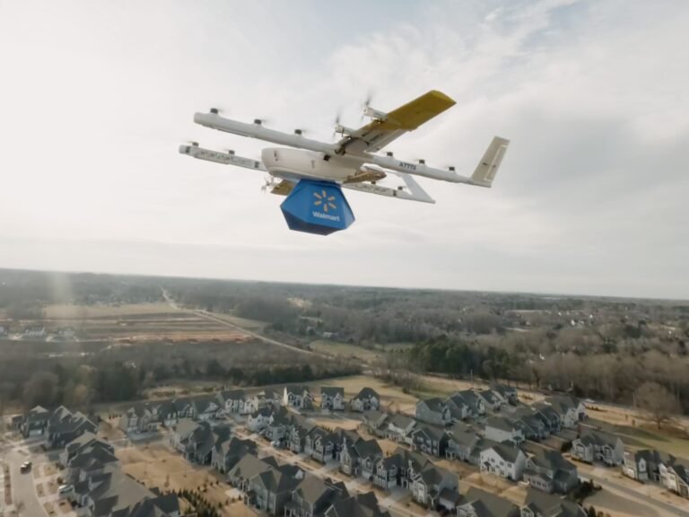 The CEO of Walmart's drone partner says shoppers are ordering eggs to test the technology's handling
