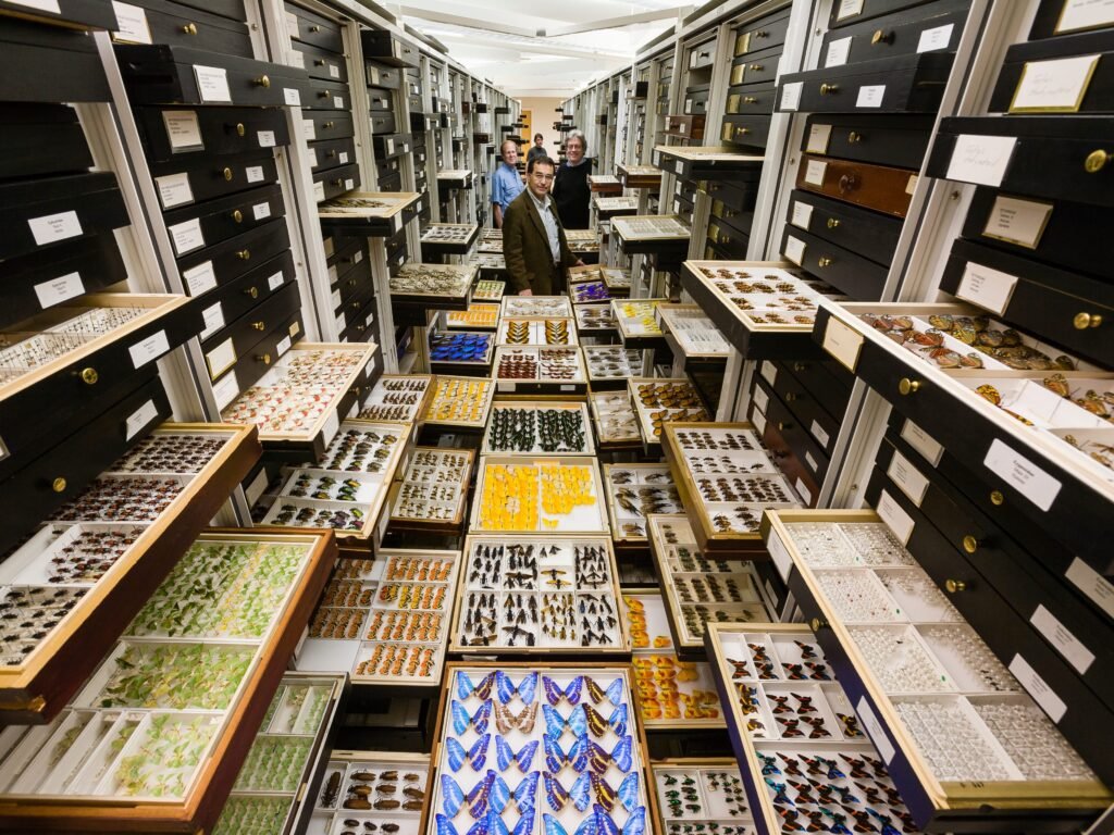 How the Smithsonian safeguards 148 million specimens