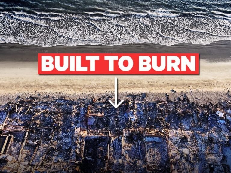 Satellite images show how fires are changing Los Angeles for good