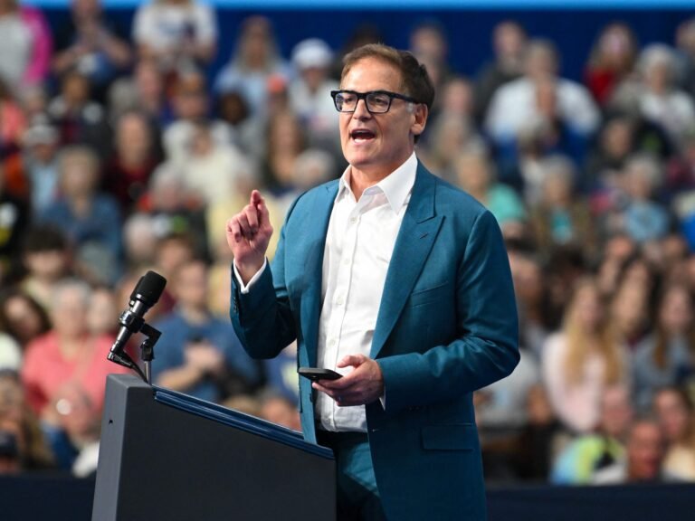 Mark Cuban says Kamala Harris' campaign courted him for VP, but he turned them down