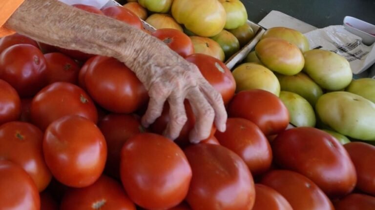 FDA upgrades tomato recall warning to most severe level