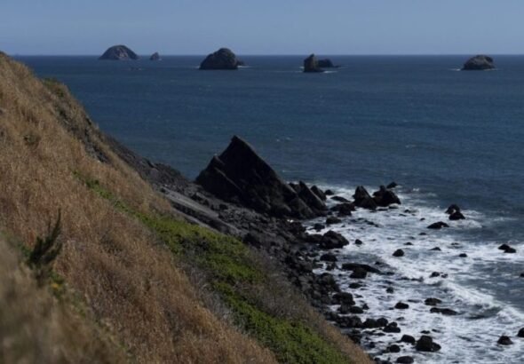 Mercury from centuries-old pollution still circulating in oceans, study finds