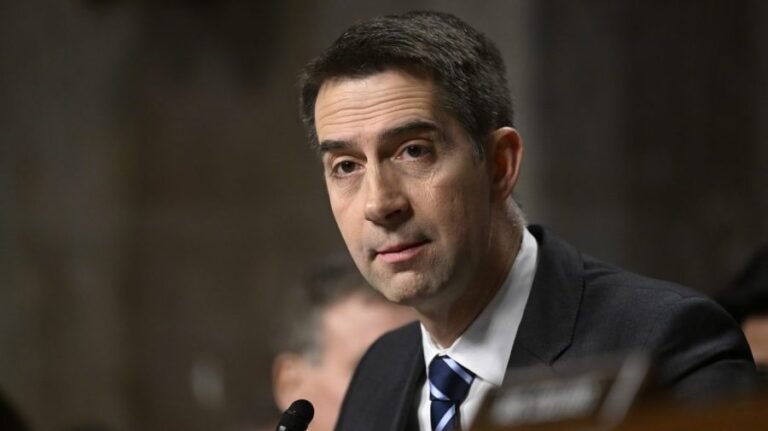 Cotton on Trump ICE pause on select industries: 'I don't think we should pull back on any kind of enforcement'