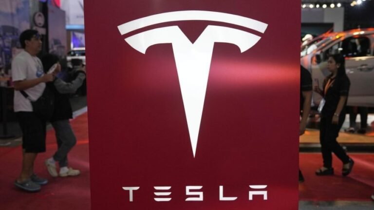 Texas Democrats ask Tesla to delay robotaxi rollout
