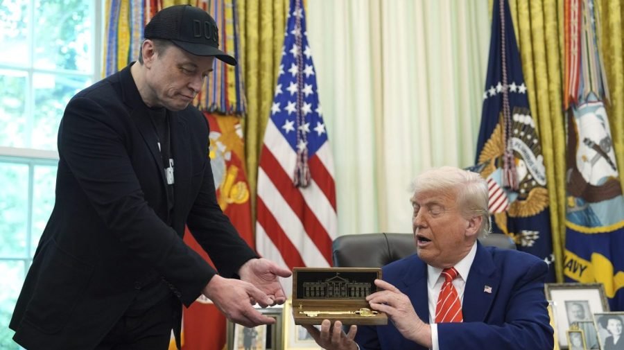 Let Trump and Musk ‘fight for a while’