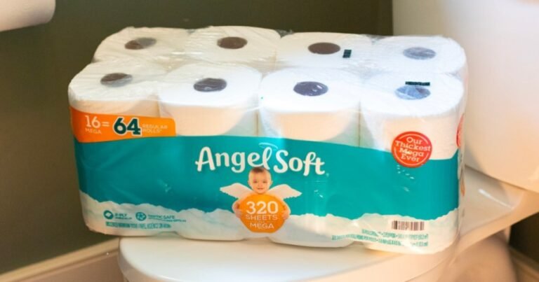 Angel Soft Toilet Paper 16-Count Mega Rolls Only $10 Shipped on Amazon