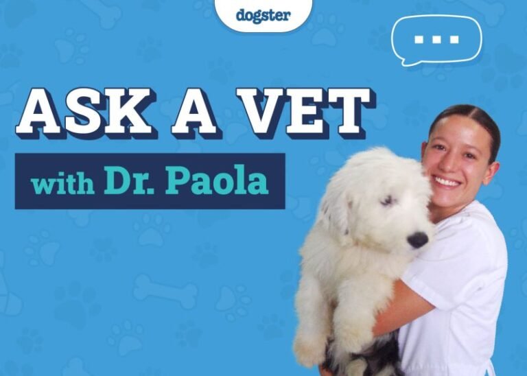 Ask Dr. Paola- Burps, Rolling in Dirt & Begging (June 30, 2025)