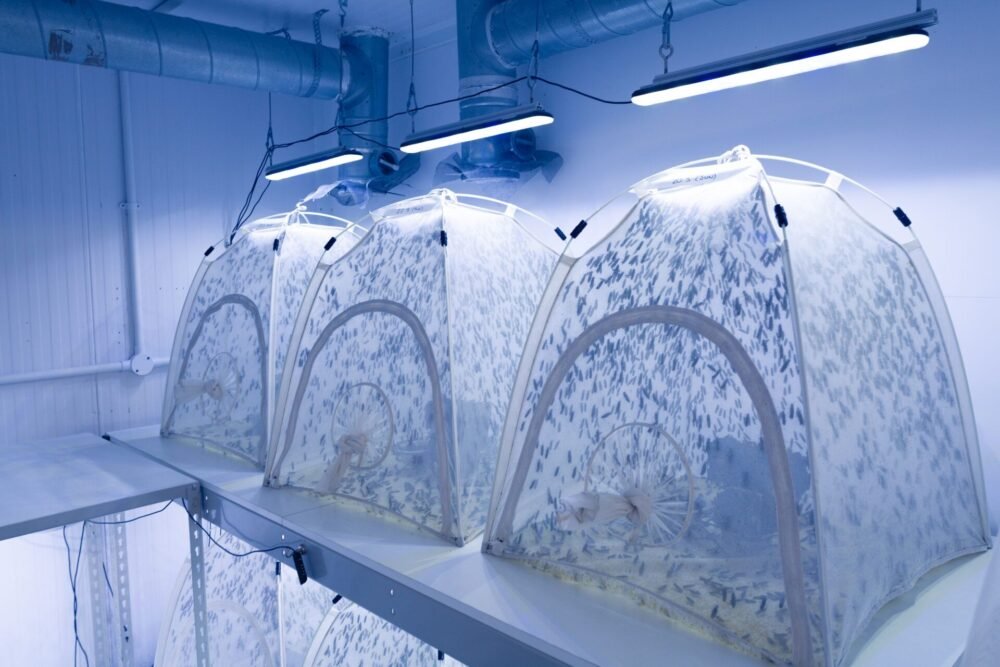 The Week in AgriFoodTech: Coco Robotics bags $80m, Tastewise secures $50m, Tebi raises $34m