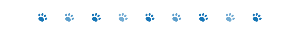 Vetnique YuMOVE Supplements Review 2025: Powerful Joint Care to Fit Your Dog’s Needs