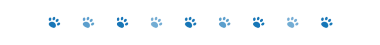 Elfin Fountain D1 Pro Review 2025: Keep Your Pet Hydrated All Day Long