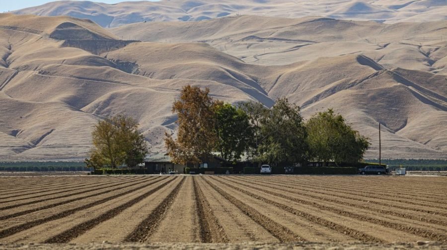 Climate change cuts crop yields, even with adaptation efforts: Study