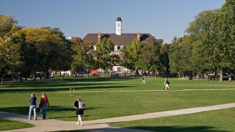 Colleges need more comedy