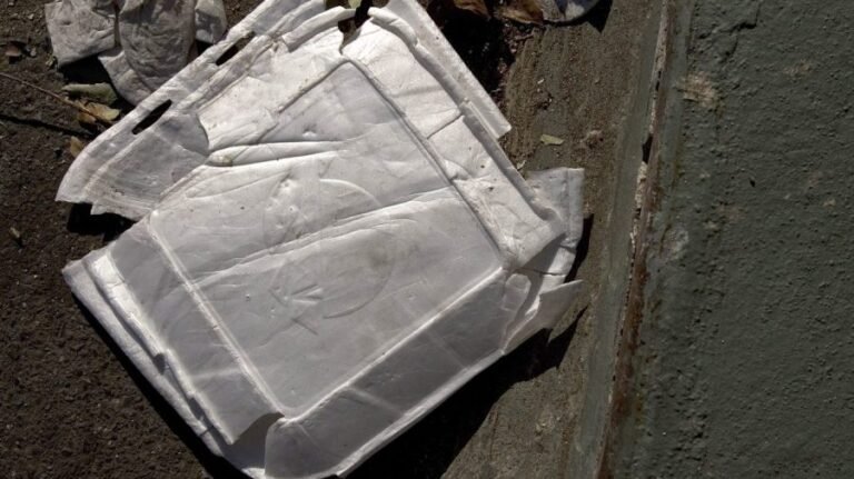 Love it or hate it? Virginia’s Styrofoam ban takes effect July 1