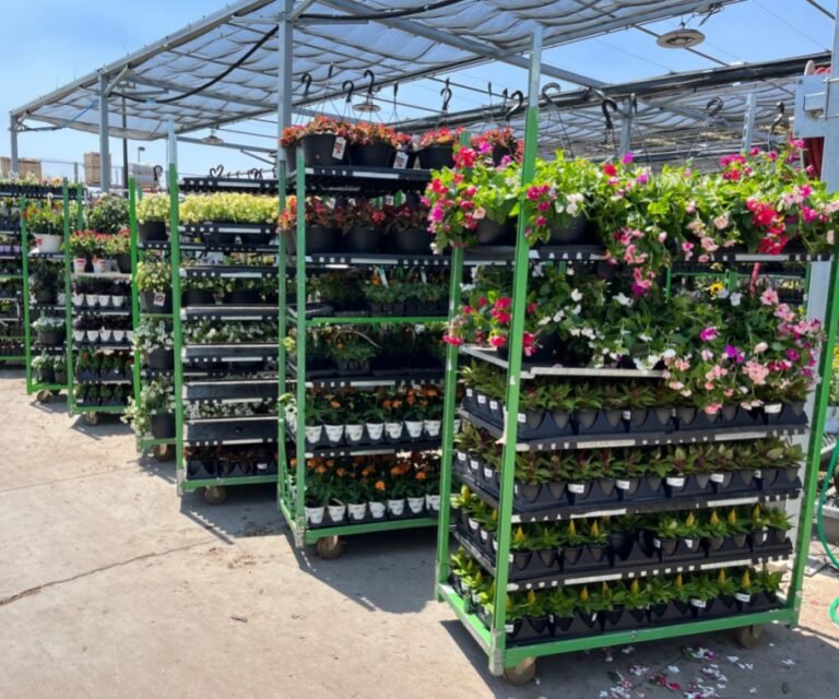Home Depot 4th of July Sale Starts 6/19 | Save BIG on Lawn & Garden, Appliances, & More