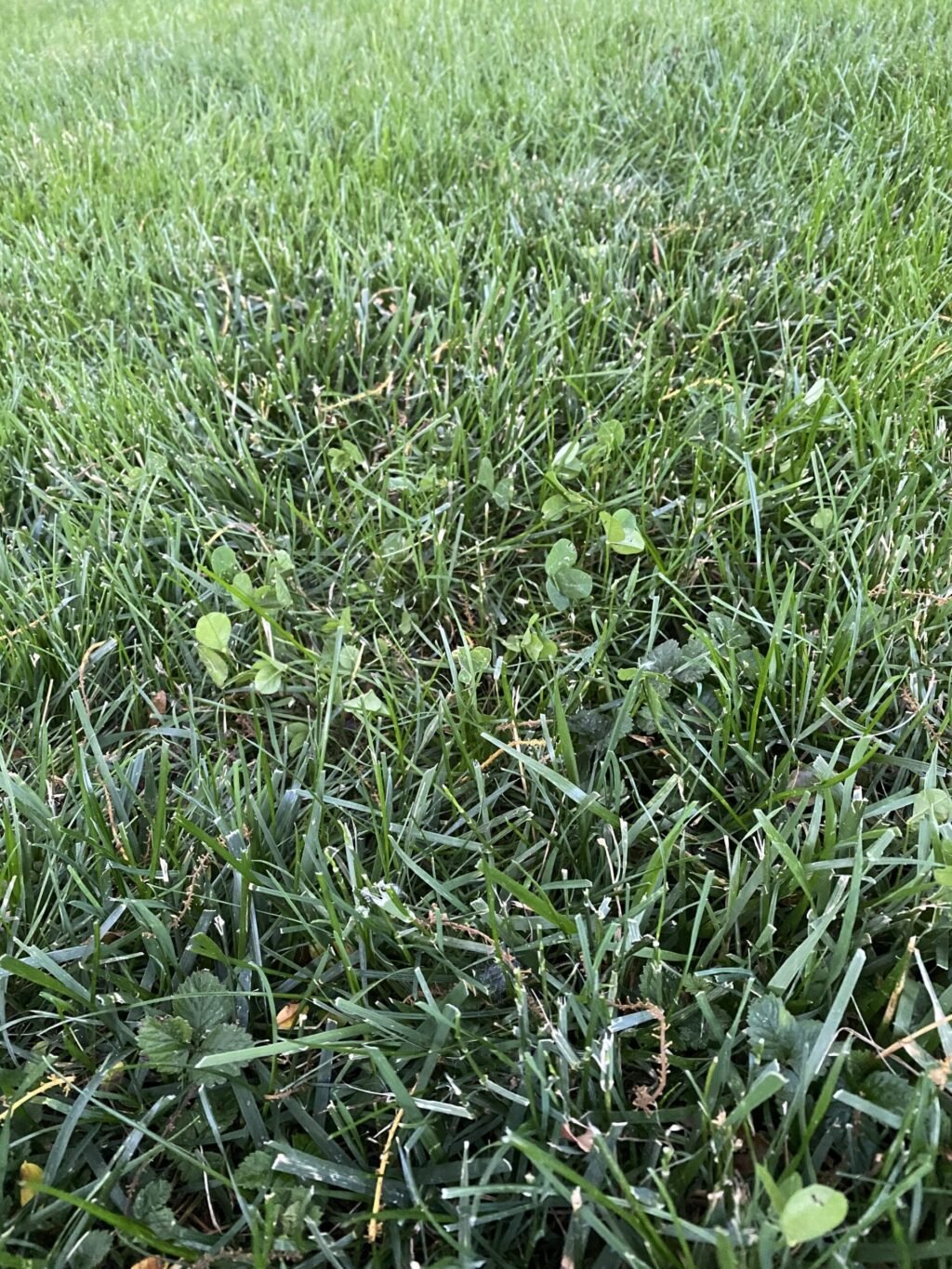 Eight Types of Mowing