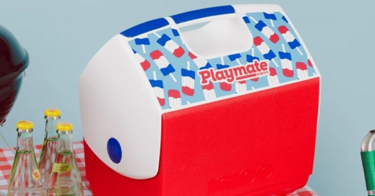 Igloo Playmate 16-Quart Cooler Only $19.97 on Walmart.com | Cute Summer Design!