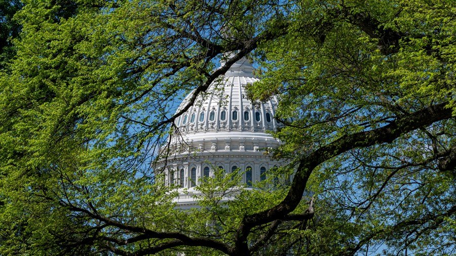 Welcome to the Biocene: How ‘natural capitalism’ can save America and the world