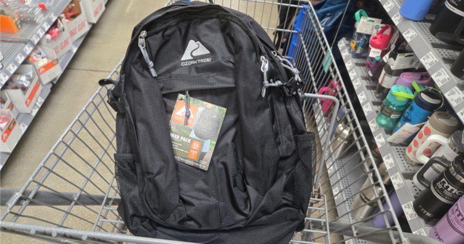 Ozark Trail Hiking Backpack Just $10.88 on Walmart.com + More