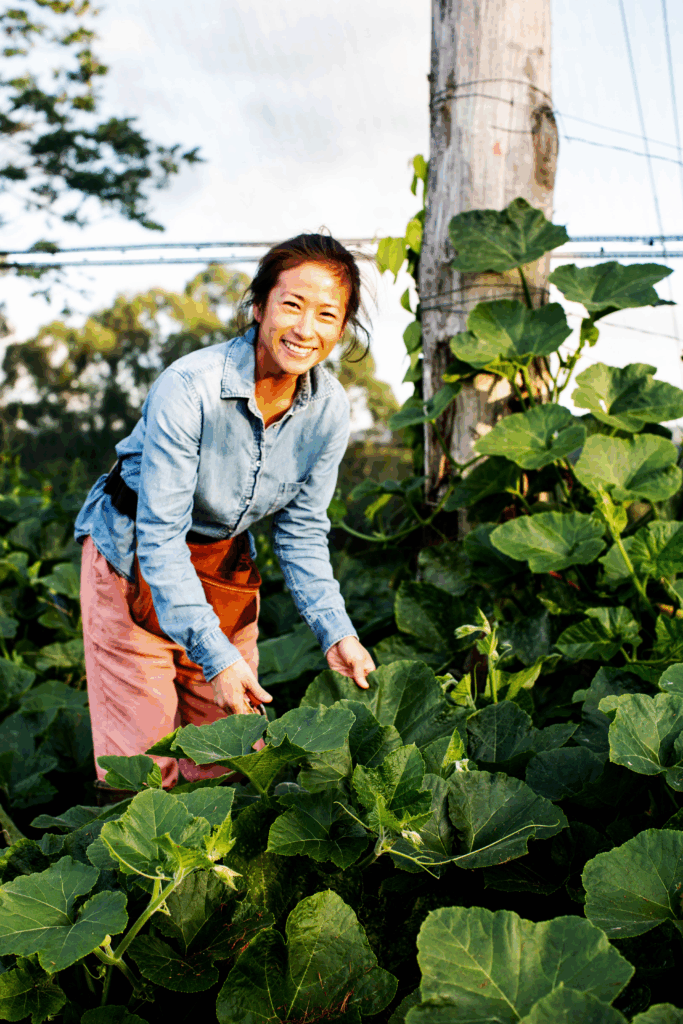 Fortune favours the brave: Boon Luck Farm