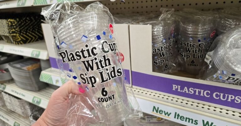 We Finally Found the Viral Dollar Tree Sip Cups!