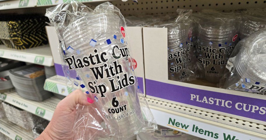 We Finally Found the Viral Dollar Tree Sip Cups!