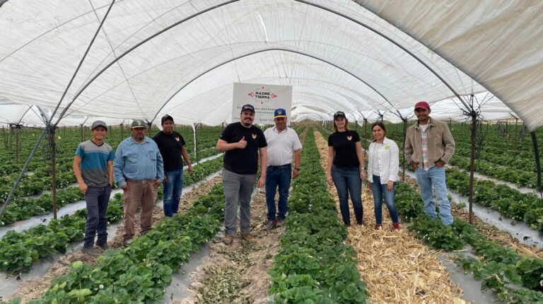 Guest article: Why we created a playbook for smarter agrifoodtech VC in Latin America