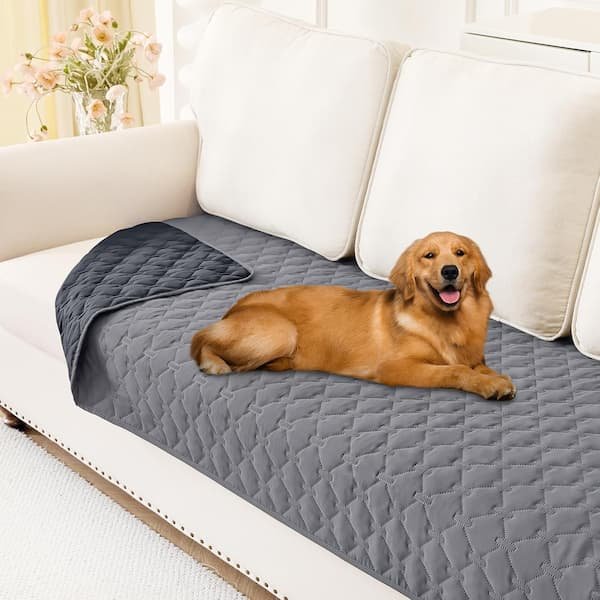 Waterproof Protective Couch Cover only $6.99!