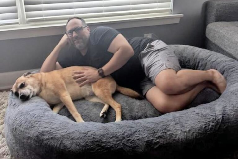 This Human-Sized Dog Bed on SamsClub.com Costs HUNDREDS Less Than a Plufl!