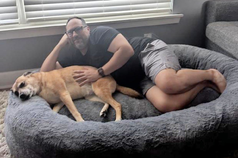 This Human-Sized Dog Bed on SamsClub.com Costs HUNDREDS Less Than a Plufl!