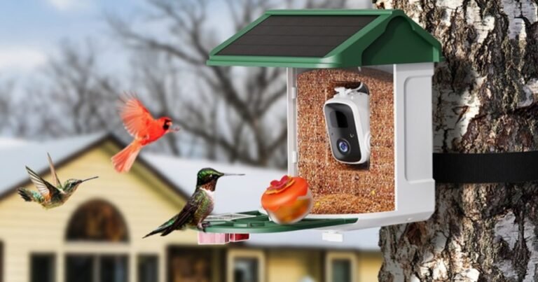 Solar-Powered Smart Bird Feeder Only $49.99 Shipped w/ Amazon Prime (Reg. $120)