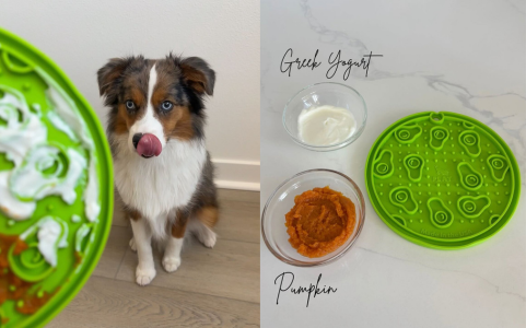 Easy Lick Mat Recipes for Dogs