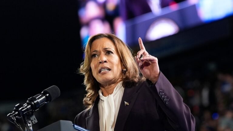 Harris calls Trump's LA response 'dangerous escalation meant to provoke chaos'
