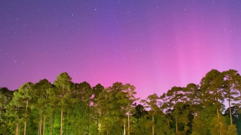 Two Neutron-Monitoring Networks Are Better Than One