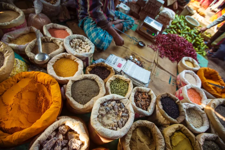 The best Indian street foods you have to try