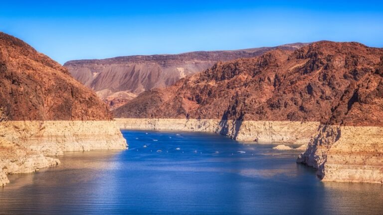 Colorado River 'water market' could bring security to farmers, fish and families: Study