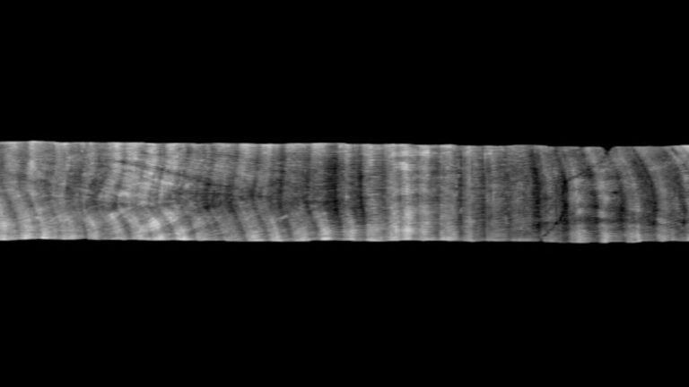 A Coral Core Archive Designed for Transparency and Accessibility