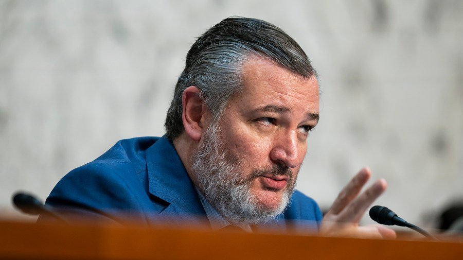 Cruz calls Trump, Musk rift 'incredibly unfortunate'