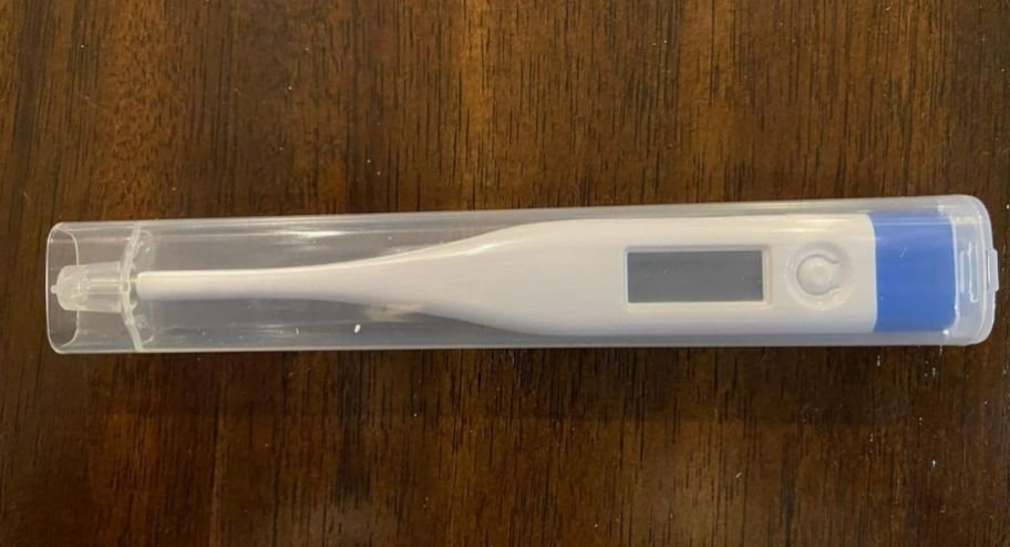 Digital Thermometer Just $3 Shipped for Amazon Prime Members (Regularly $6)