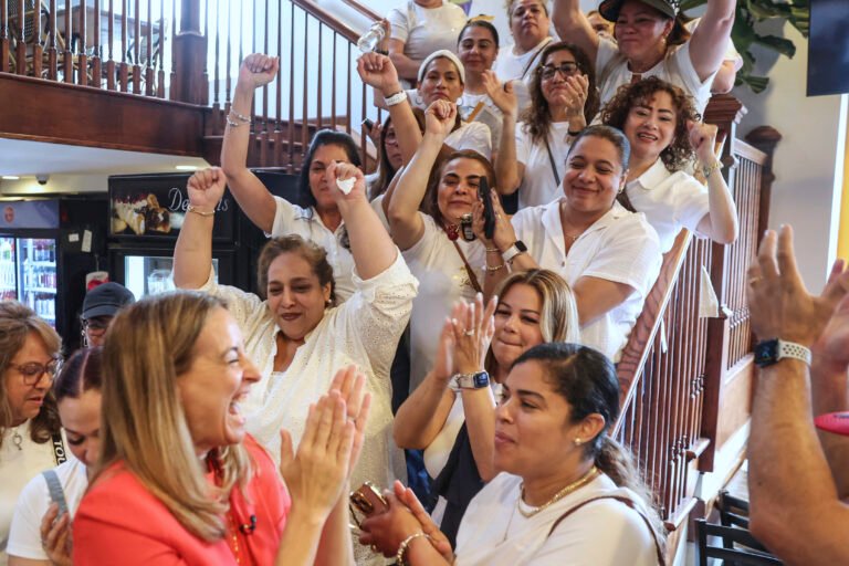 Why ‘Hellcats’ could be the answer to Democrats troubles